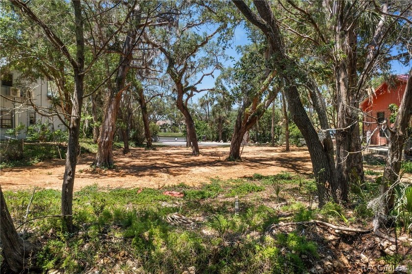 Own your own piece of paradise in Old Homosassa! This ideal - photo 9