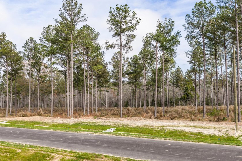 Welcome to Appling, Georgia's premier new luxury community - photo 3
