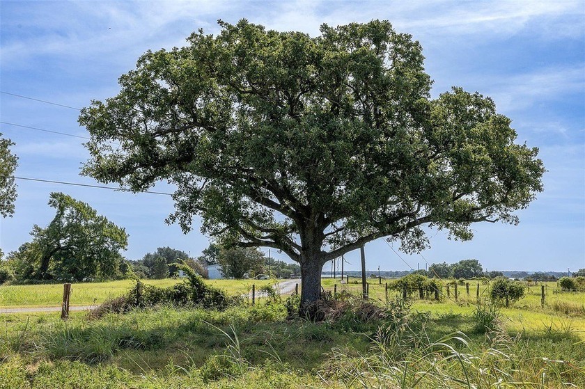 Beautiful .718 acre lot over looking Lake Limestonee build your - photo 4