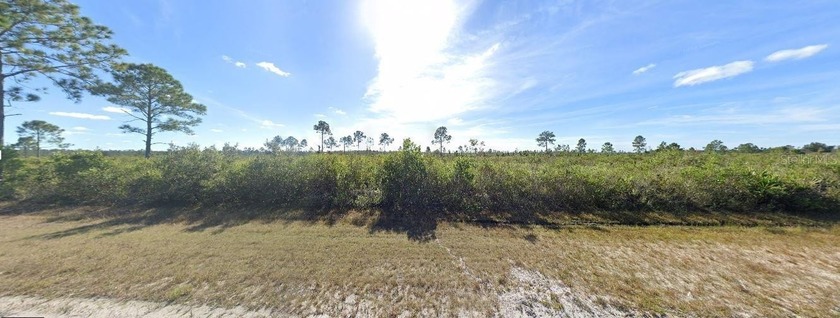 Take advantage of this opportunity to own 0.60 acres of vacant - photo 2