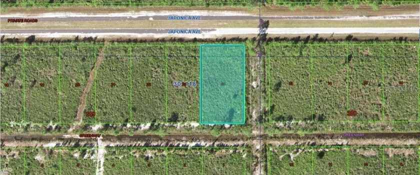 Take advantage of this opportunity to own 0.60 acres of vacant - photo 4