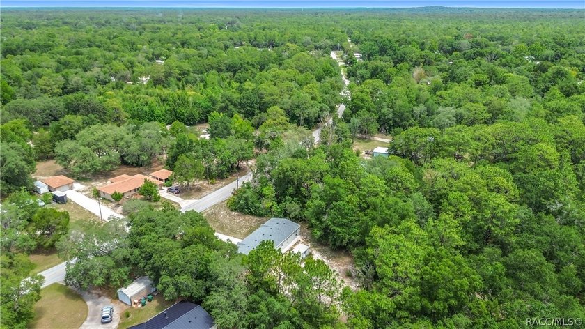 Welcome home to your own private retreat in Homosassa! Nestled - photo 40