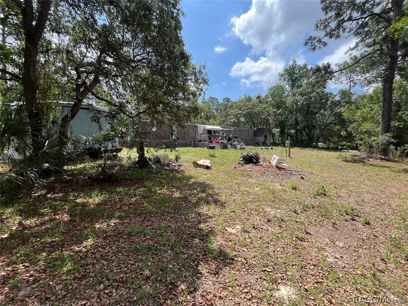 Situated on a half-acre homesite, this property offers - photo 7