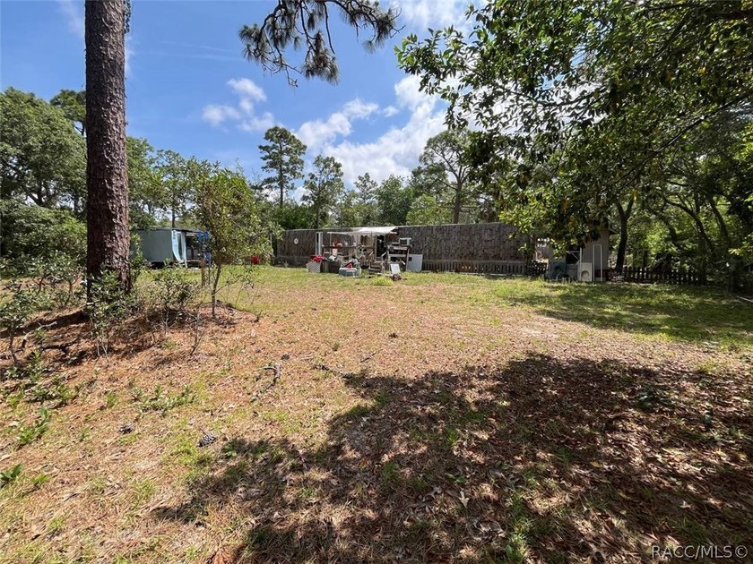 Situated on a half-acre homesite, this property offers - photo 9