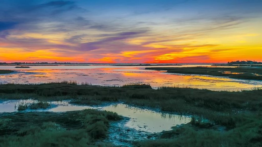 Fabulous 1.643 acre waterfront homesite overlooking Port Bay in - photo 5