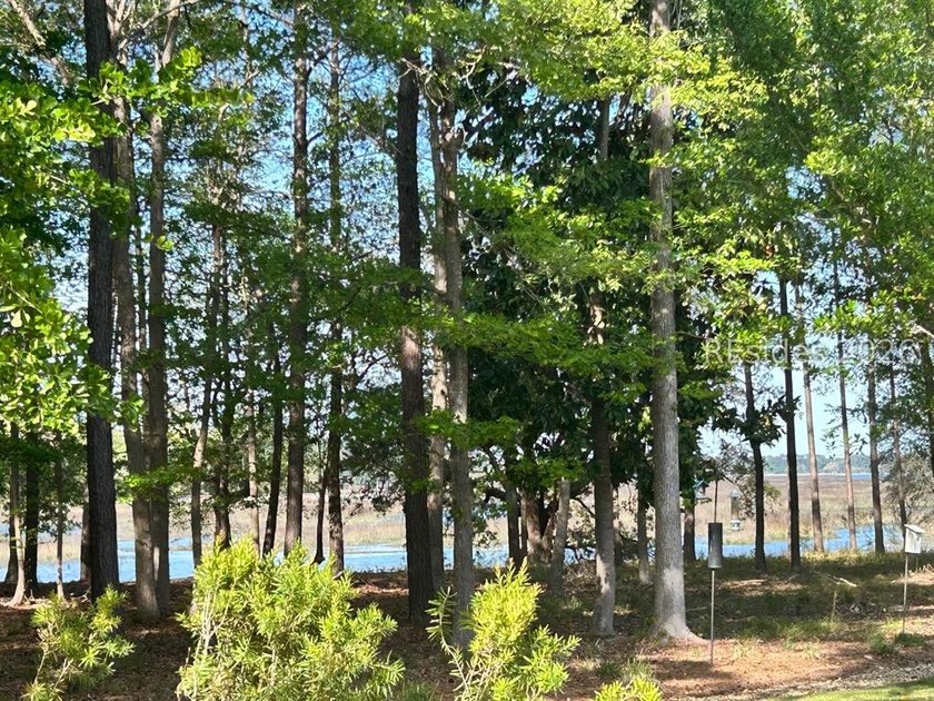Brand New Home with Wooded and Marsh View!!! Rare opportunity to - photo 2
