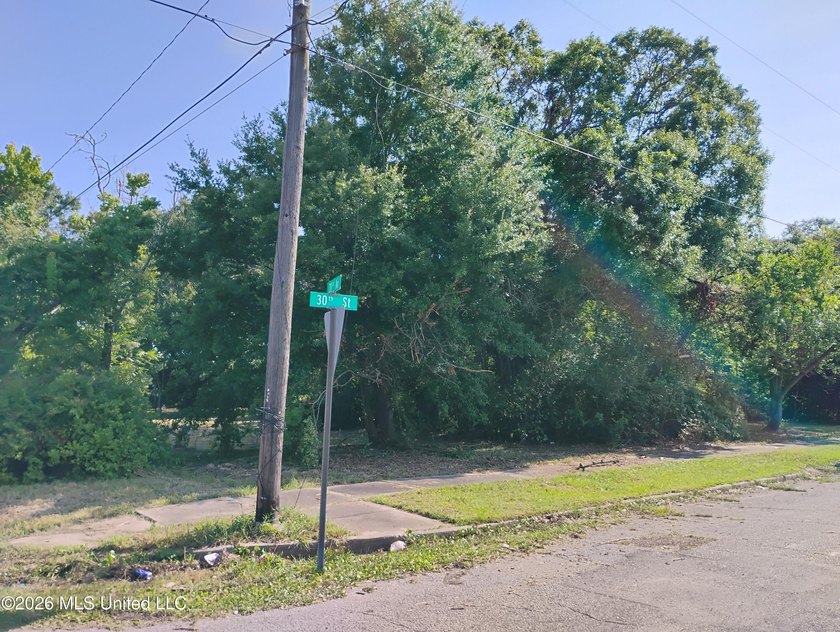 Investors take advantage of .065 acres corner lots (3) located - photo 2