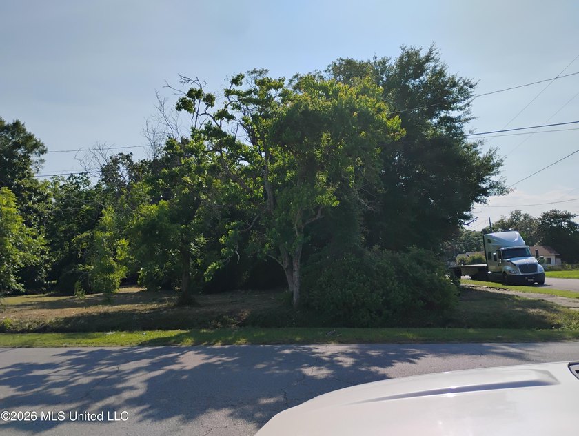 Investors take advantage of .065 acres corner lots (3) located - photo 3