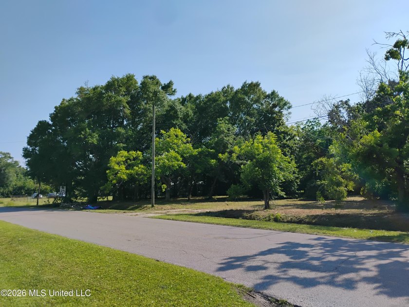 Investors take advantage of .065 acres corner lots (3) located - photo 4