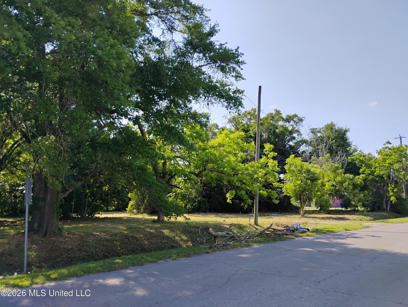 Investors take advantage of .065 acres corner lots (3) located - photo 5
