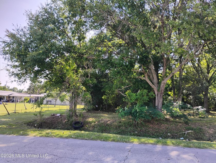 Investors take advantage of .065 acres corner lots (3) located - photo 6