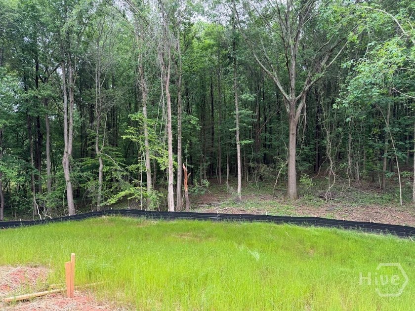 Your dream home is here! We are proud to present the Magnolia - photo 6