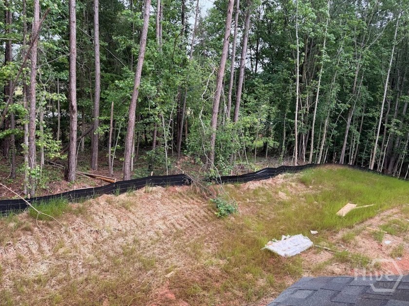 Your dream home is here! We are proud to present the Magnolia - photo 8