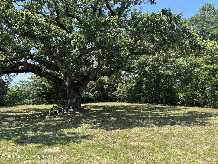 Build your dream home on this beautiful, oversized lot featuring - photo 3