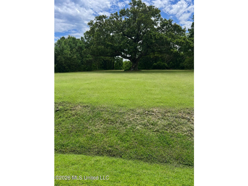 Build your dream home on this beautiful, oversized lot featuring - photo 4