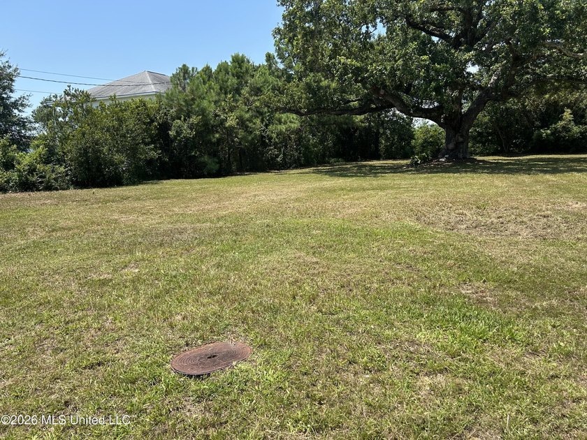 Build your dream home on this beautiful, oversized lot featuring - photo 5