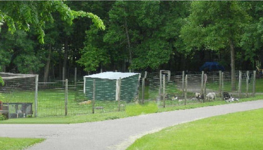 Affordable unit near swimming pool. Bring your own RV or use - photo 6