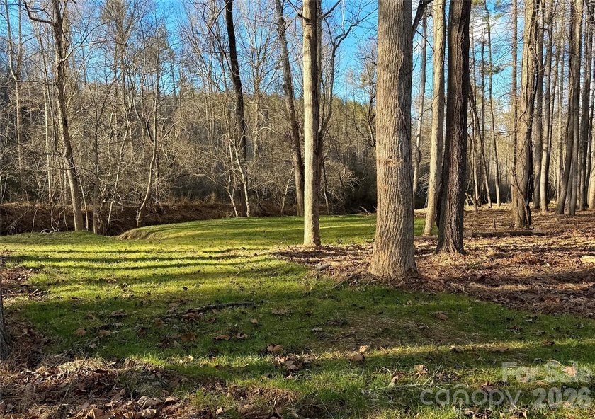 12+ acres with 1,000 ft of river frontage on the Johns River! - photo 11