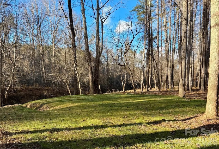 12+ acres with 1,000 ft of river frontage on the Johns River! - photo 12