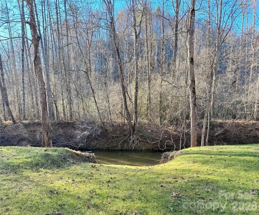 12+ acres with 1,000 ft of river frontage on the Johns River! - photo 13