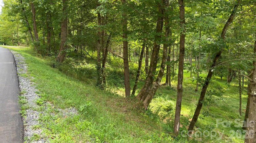 12+ acres with 1,000 ft of river frontage on the Johns River! - photo 14