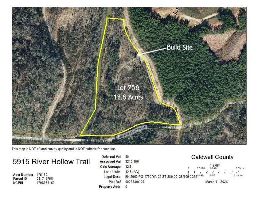 12+ acres with 1,000 ft of river frontage on the Johns River! - photo 17