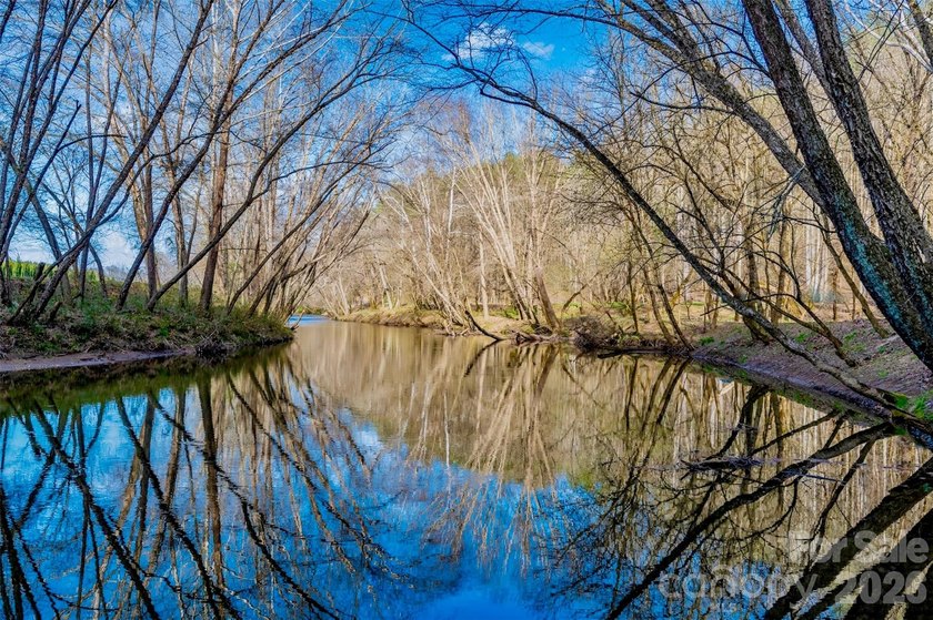 12+ acres with 1,000 ft of river frontage on the Johns River! - photo 23