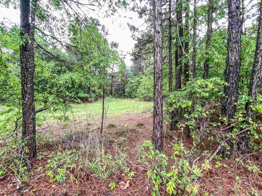 Escape to your own private retreat on this stunning 3.01-acre - photo 5