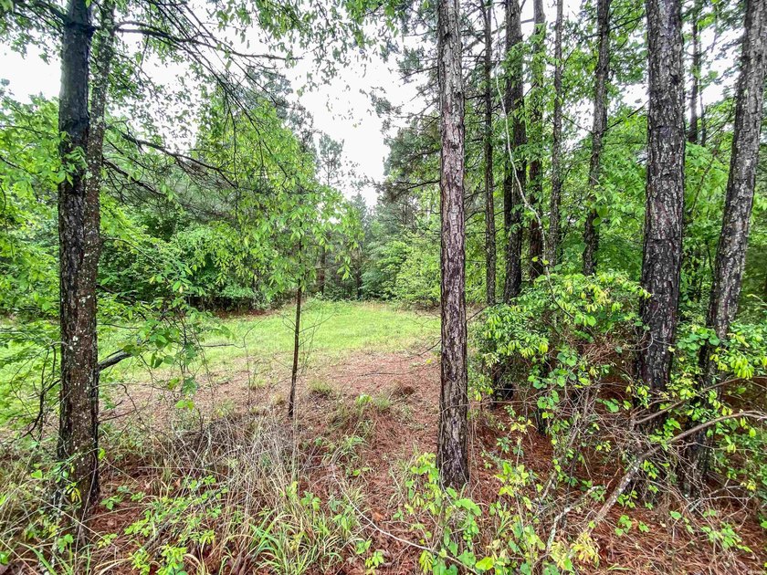 Escape to your own private retreat on this stunning 3.01-acre - photo 6