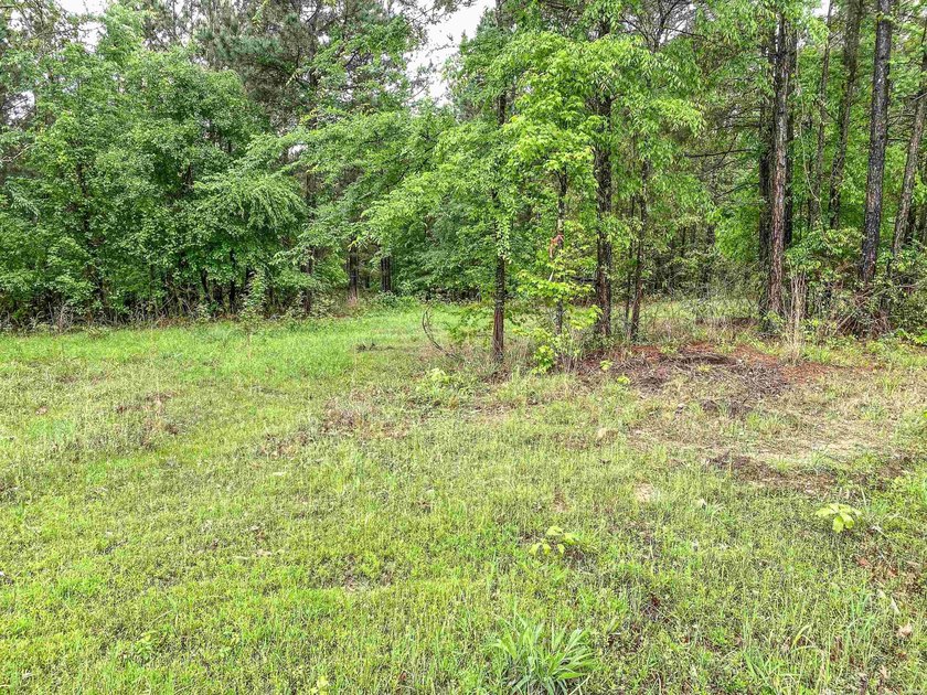 Escape to your own private retreat on this stunning 3.01-acre - photo 9