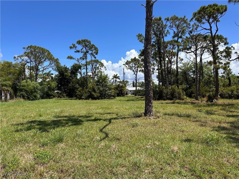 Island life is calling! Check out this lovely, cleared lot in - photo 3