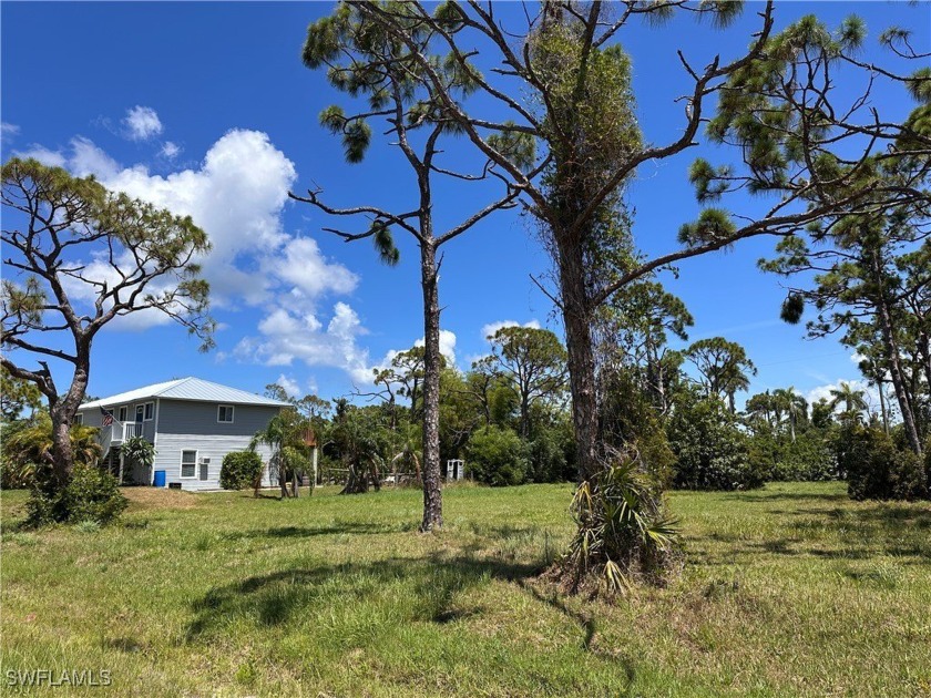 Island life is calling! Check out this lovely, cleared lot in - photo 8