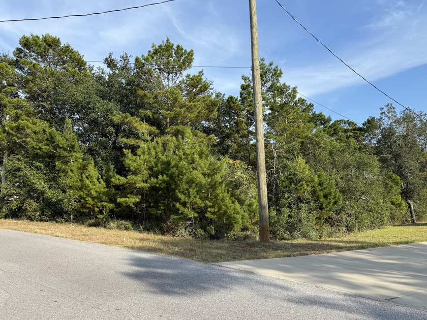 The perfect canvas for your dream home! This beautiful vacant - photo 11