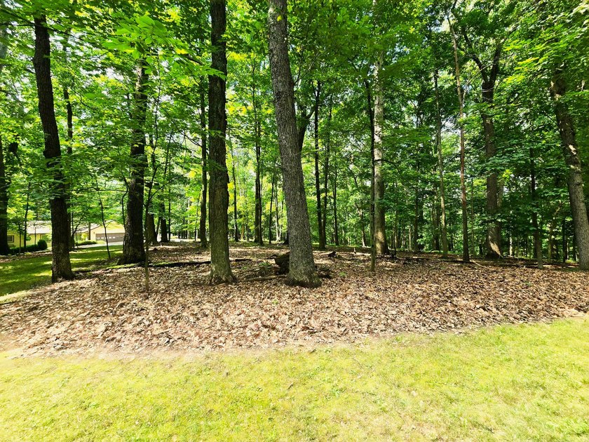Escape to the hills in this adorable 2 bedroom/1 bath cabin in - photo 25