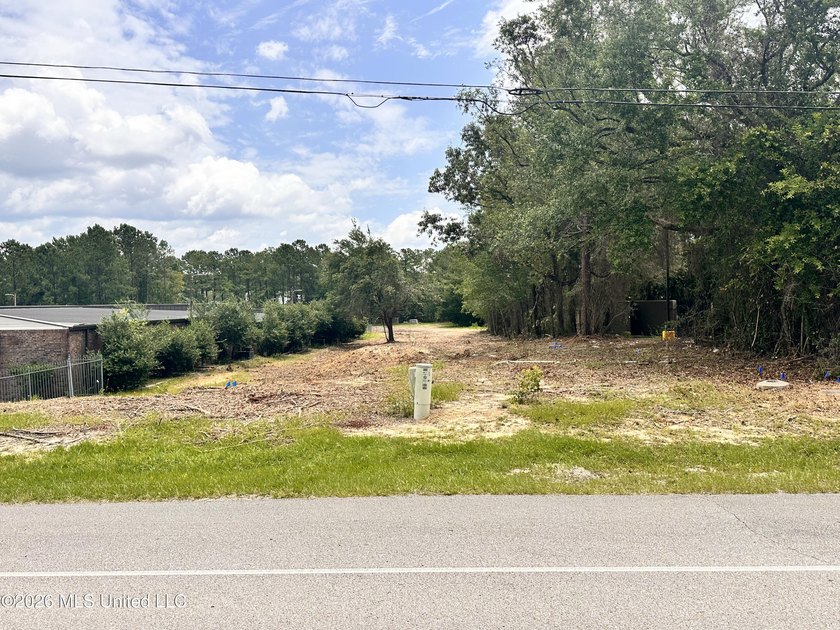 4.6 Acres with frontage on Diamondhead's two main arteries - photo 3