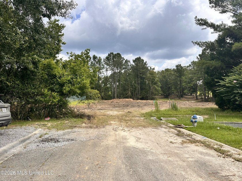4.6 Acres with frontage on Diamondhead's two main arteries - photo 7