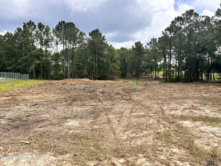 4.6 Acres with frontage on Diamondhead's two main arteries - photo 9