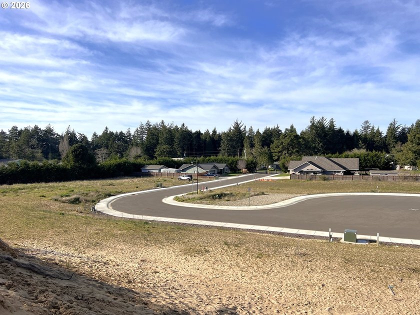Welcome to THE LAKES, a brand-new gated community offering 15 - photo 12