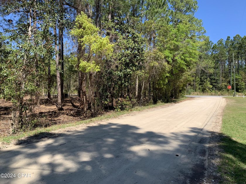 Prime 4.22+/- acre commercial development site on W. Highway 388 - photo 6