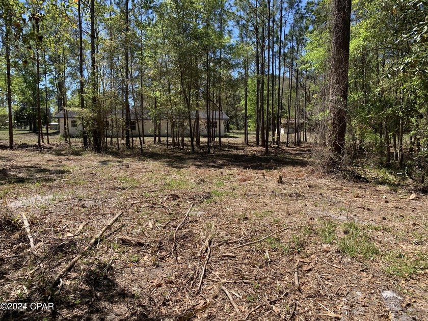 Prime 4.22+/- acre commercial development site on W. Highway 388 - photo 7