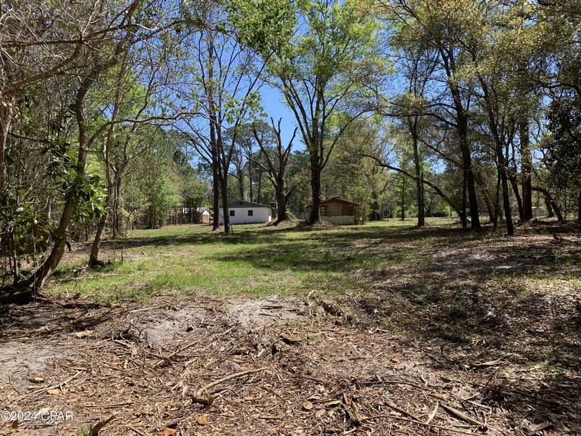 Prime 4.22+/- acre commercial development site on W. Highway 388 - photo 9