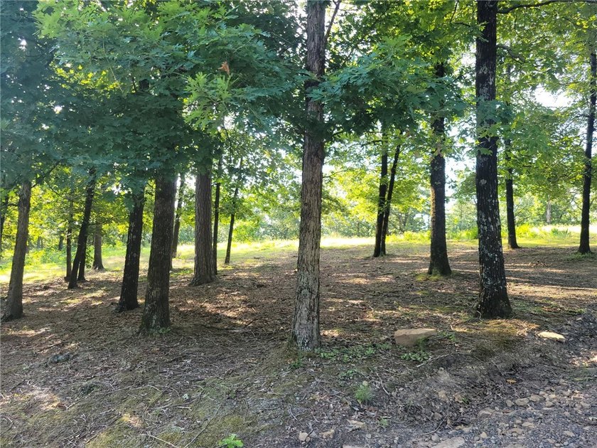 2.10 Acre Lot 1 block from Eagle Crest Subdivision neighborhood - photo 3