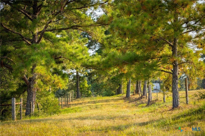 Discover the most enchanting and private 65 acre country estate! - photo 5