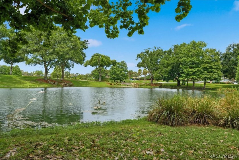 Welcome to maintenance-free living in one of Citrus County's - photo 4