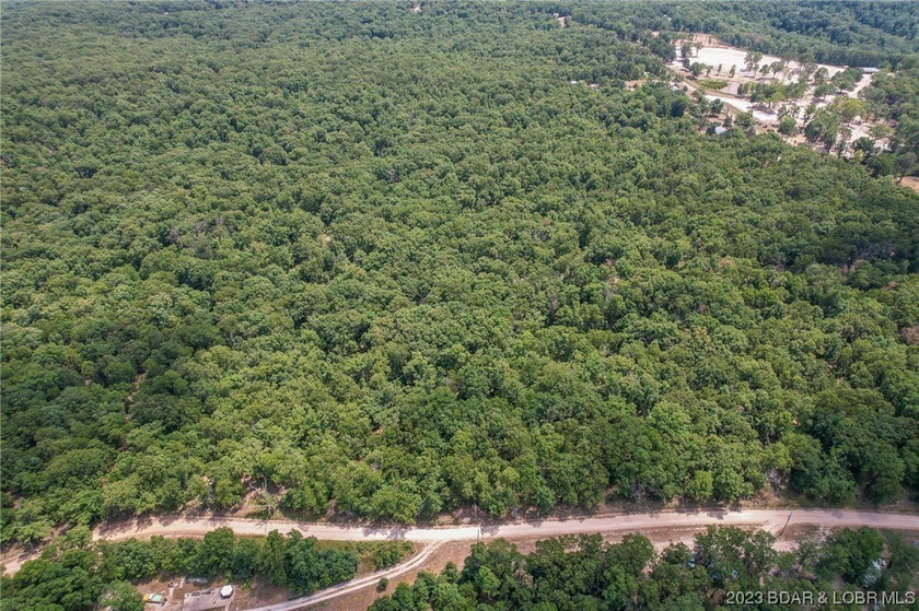 3 Acre tract with 156ft of Hwy 135 frontage. Lot lays very well - photo 4