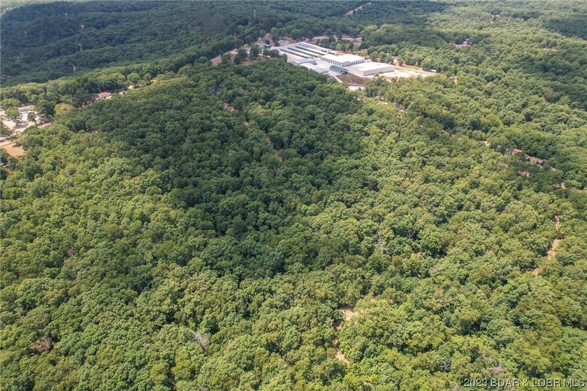 3 Acre tract with 156ft of Hwy 135 frontage. Lot lays very well - photo 8