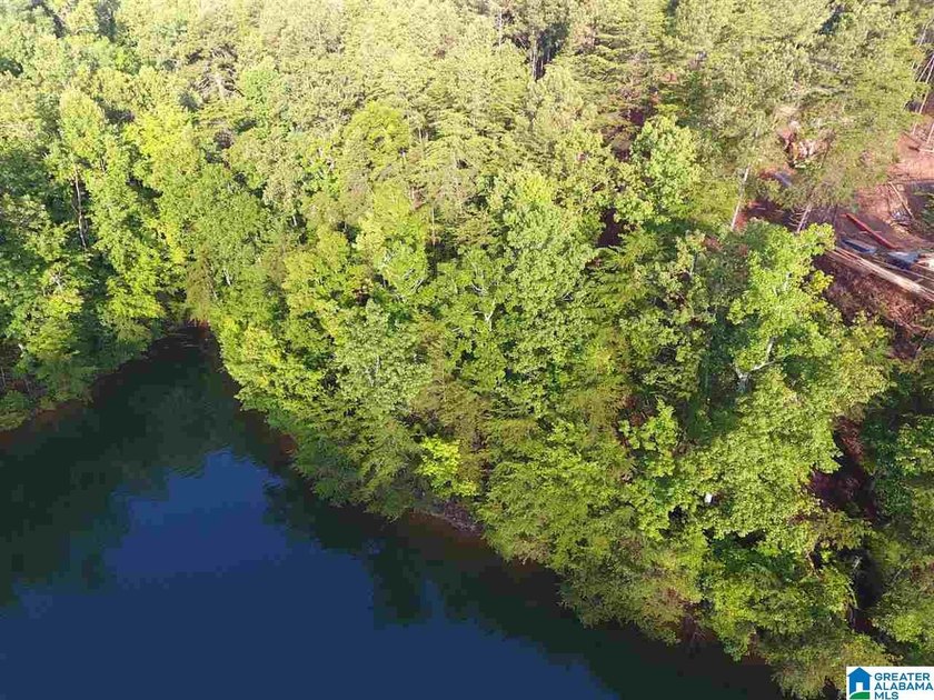 Great lot on the south end of Lake Wedowee with over 128' of - photo 2