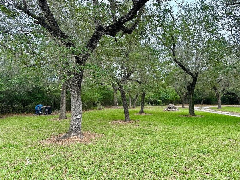Tucked away on 2 private, oak-studded acres, this peaceful - photo 5