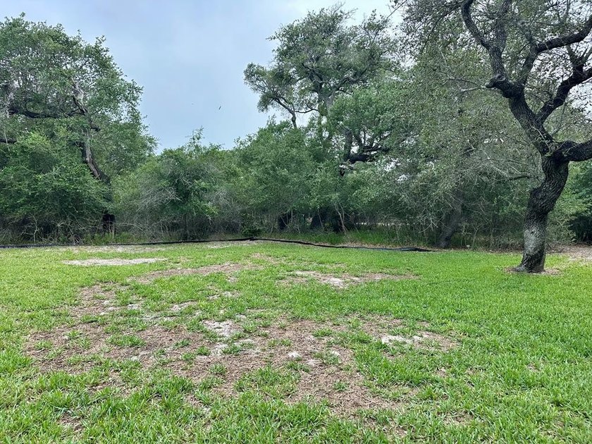 Tucked away on 2 private, oak-studded acres, this peaceful - photo 6