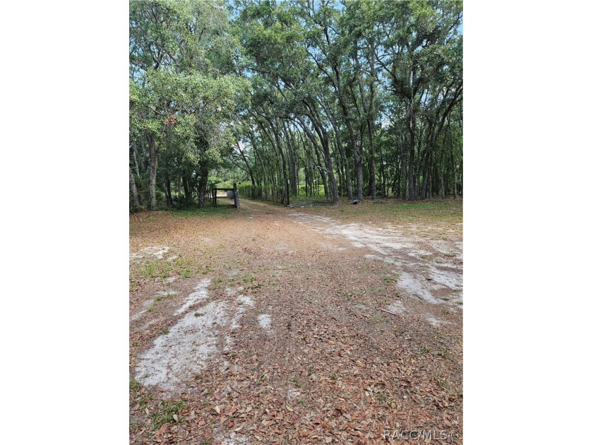 Enjoy the Privacy of This Completely Fenced 1.64 Acre Parcel - photo 2
